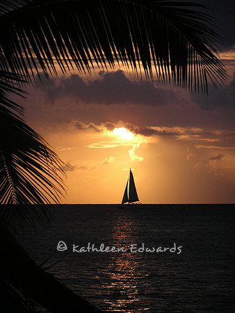 Caribbean Dream