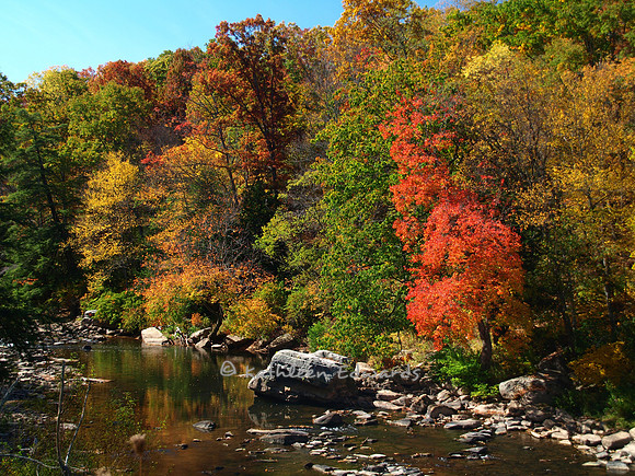 Fall on the Youghiogheny River