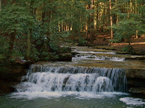 Tolliver Falls