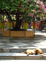 Wat Phra That Doi Suthep