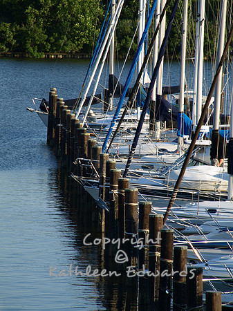 City Marina at Tydings Park