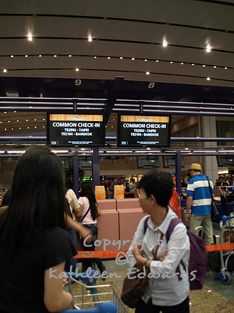 Check-in counter, Tiger Airways
