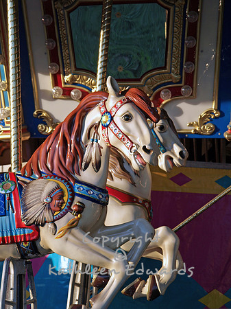 Your Steed Awaits!